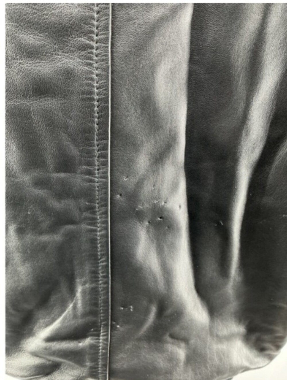 100% Leather Shearling Trim Aviator Jacket